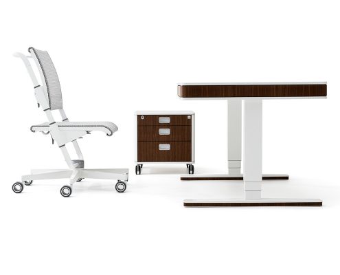 moll unique Kombination elektrisch hoehenverstellbarer Schreibtisch T7 Container C7 Stuhl S6 Nussbaum designmöbel von moll unique designschrebtisch T7 designdrehstuhl S9 höhenverstellbar made in germany