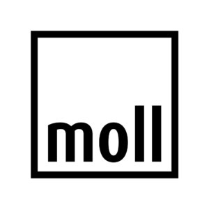 Moll schreibtisch runner - Der absolute TOP-Favorit unter allen Produkten