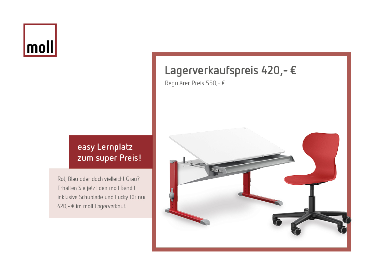Easy Bundle Kinderschreibtisch Bandit + Luck